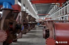 三亚邢硕咖啡馆经营有限公司被评为2019年度三水区骨干企业